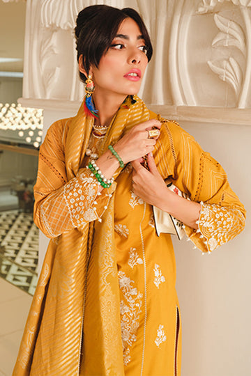Rang Rasiya Nuray Dosti The Winter Affair  2022 Online Shopping